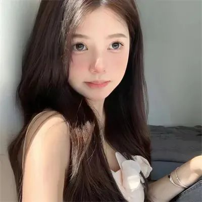 黑眉蚊